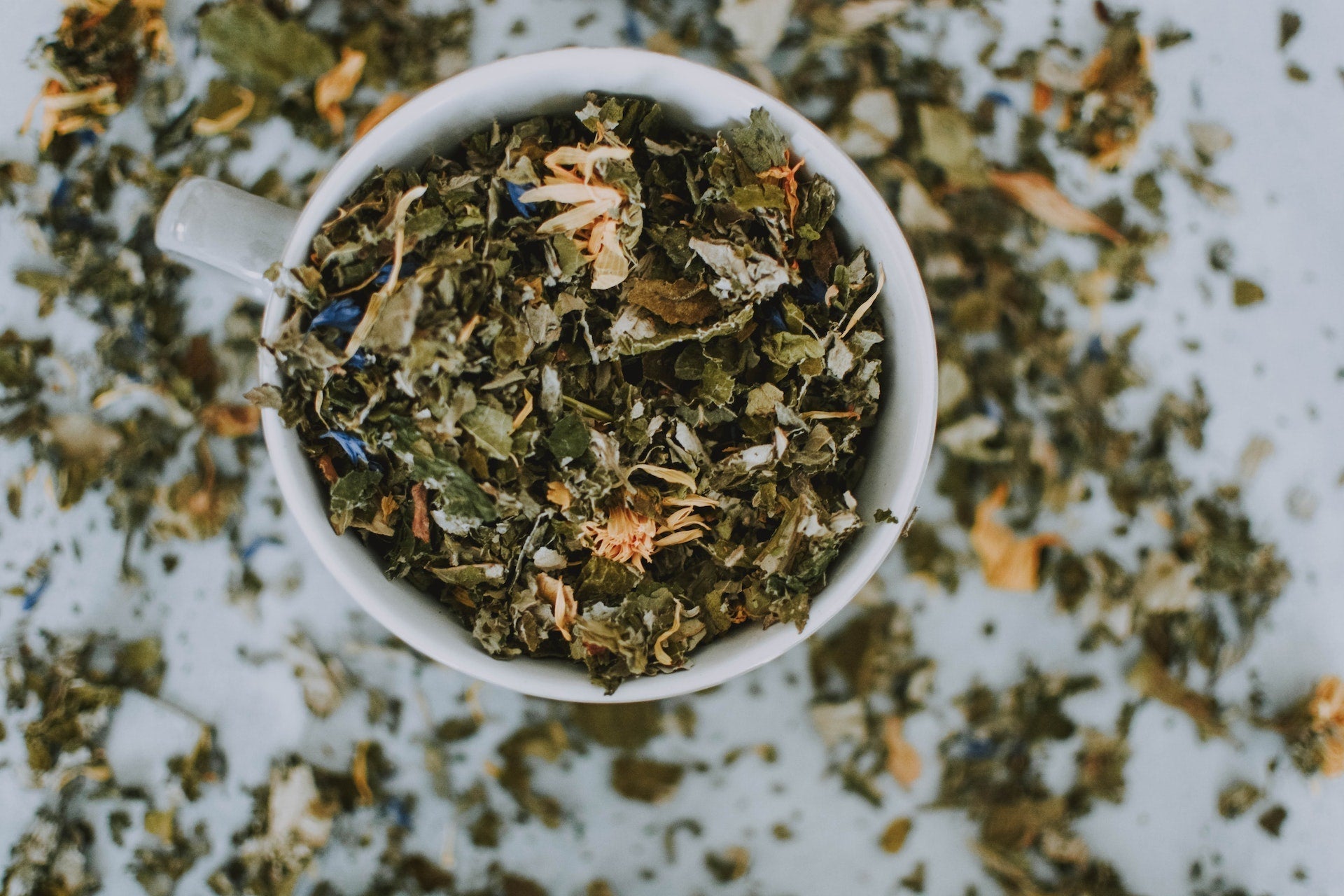 Grüner Tee: Inhaltsstoffe, Zubereitung und Tipps für den Alltag