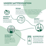 Infographic over de sapproductie bij LiveFresh met vijf productiestappen: hoogwaardige grondstoffen, mechanisch persen, koude vulling, houdbaar maken door hoge druk (HPP) en het eindproduct – koudgeperst sap in de fles.