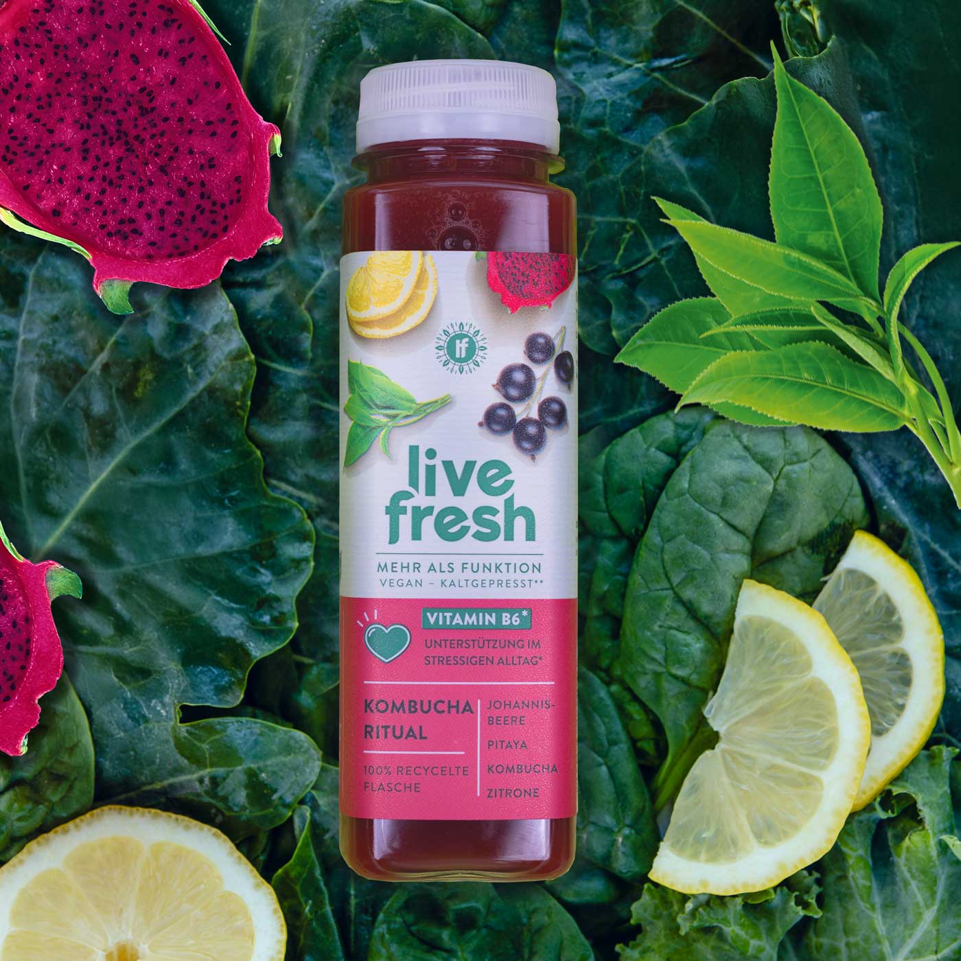 Kombucha Ritual – Saft – 250ml