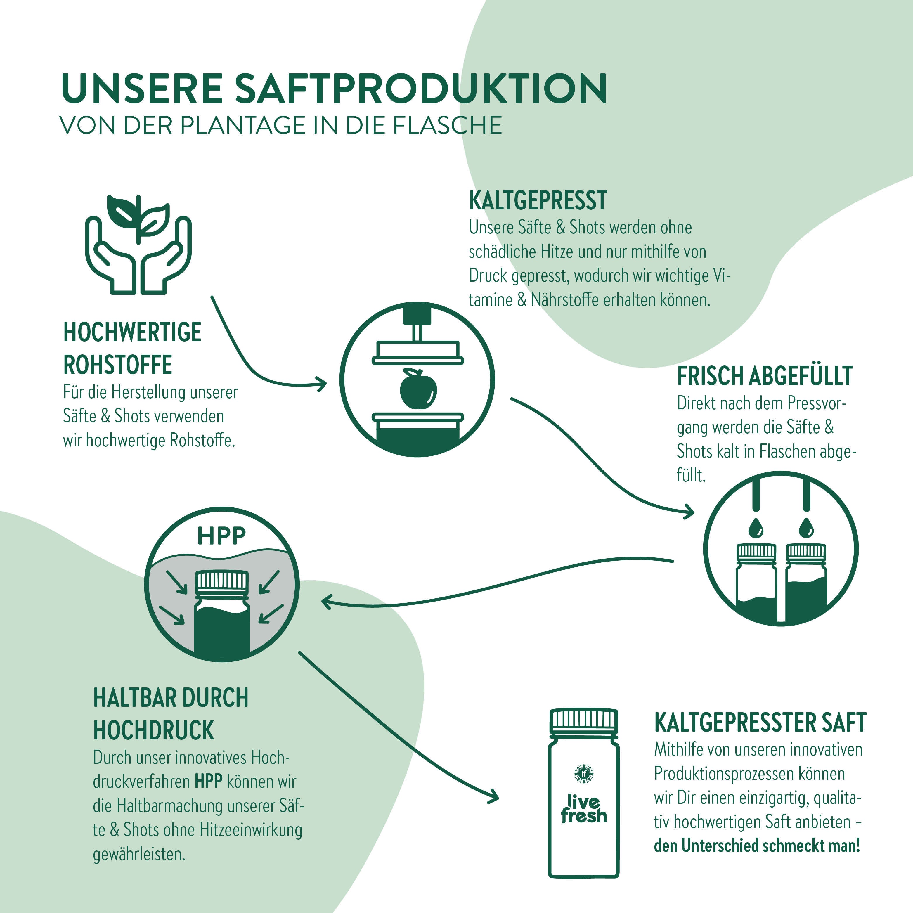 Produktionsprozess von Säften bei „Live Fresh“. Sie beginnt mit der Verwendung hochwertiger Rohstoffe und beschreibt, dass die Säfte kaltgepresst werden, um wichtige Vitamine und Nährstoffe ohne den Einsatz von Hitze zu bewahren. Anschließend werden die Säfte abgefüllt und mithilfe des Hochdruckverfahrens (HPP) haltbar gemacht, ohne die Qualität zu beeinträchtigen. Der Prozess garantiert, dass die Säfte frisch und nährstoffreich bleiben, was in der letzten Phase als „kaltgepresster Saft“ vermarktet wird.