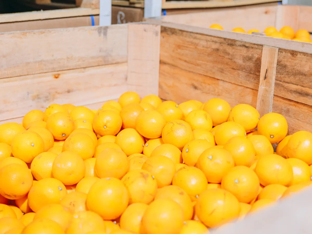 Frische Orangen in Holzkisten im Wareneingang